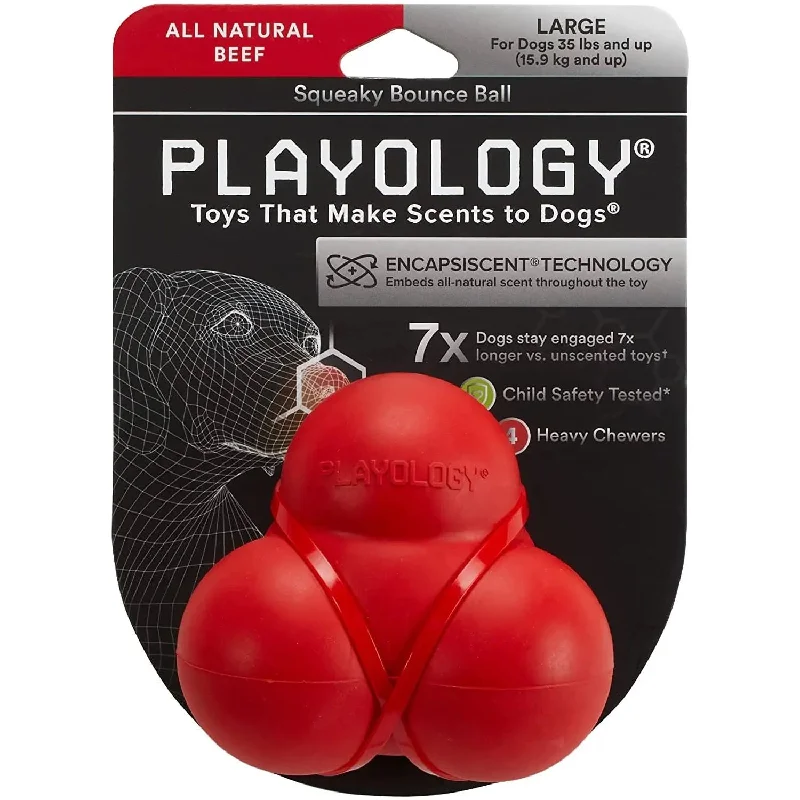 Playology Beef Scent Squeaky Bounce Ball Dog Toy, Large
