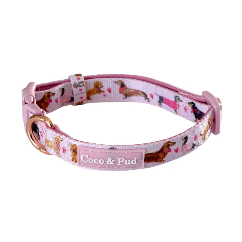 Doxie Rose Dog Collar