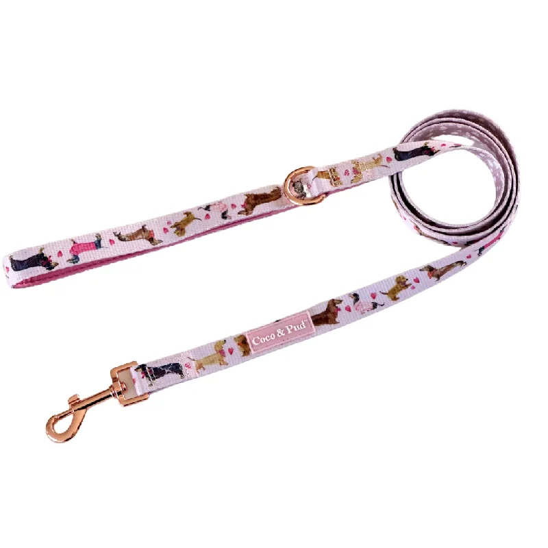 Doxie Rose Dog lead/ Leash
