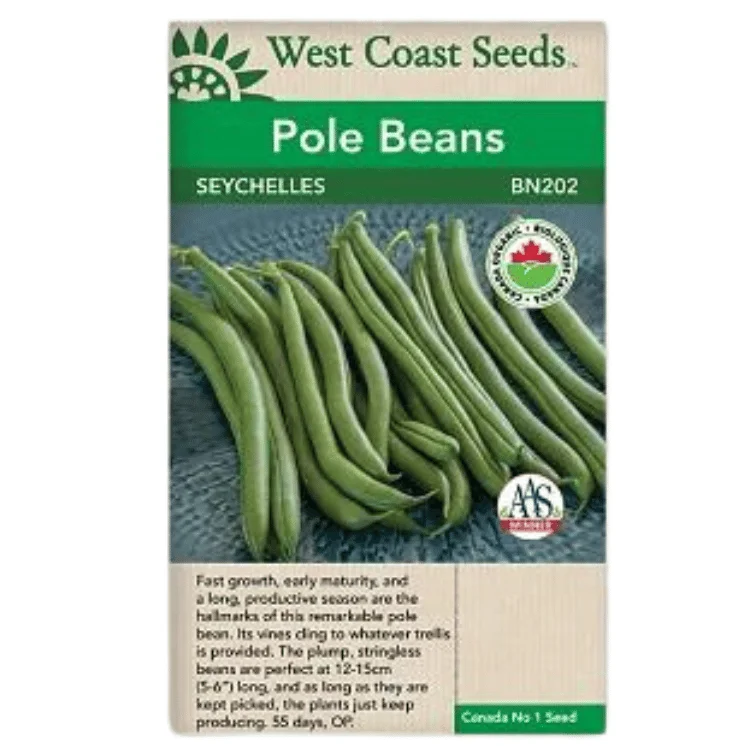 West Coast Seeds Seychelles Pole Bean Seeds - 60 Seeds