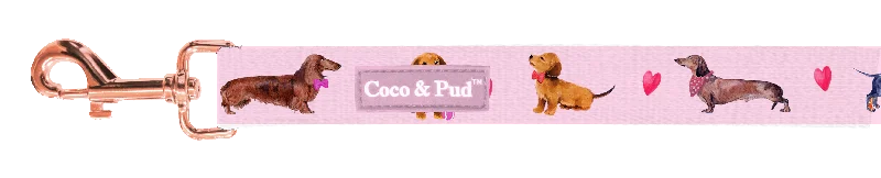Doxie Rose Cat Lead