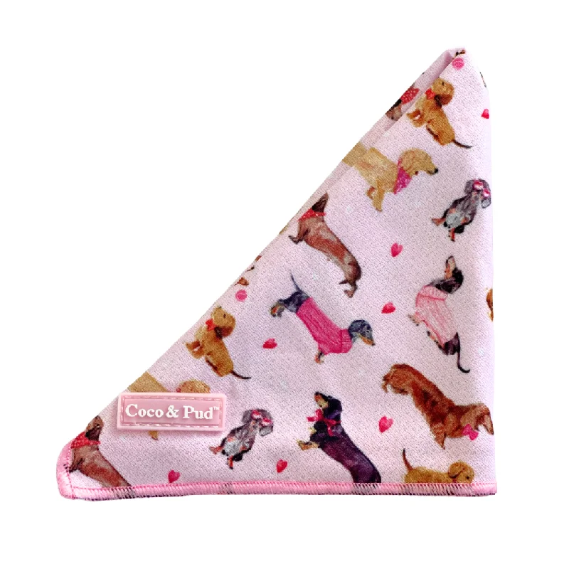 Doxie Rose Cat Bandana
