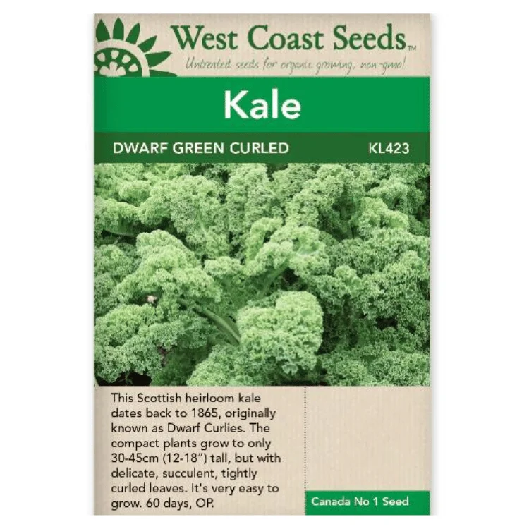 West Coast Seeds Dwarf Green Curled Kale Seeds - 150 Seeds