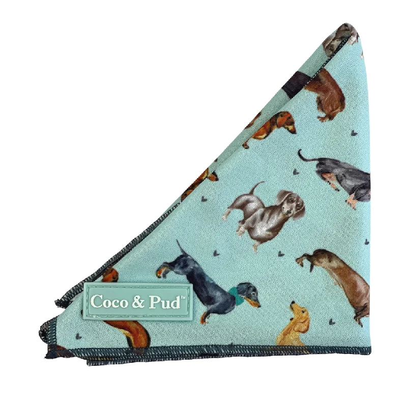 Doxie Love Cat Bandana