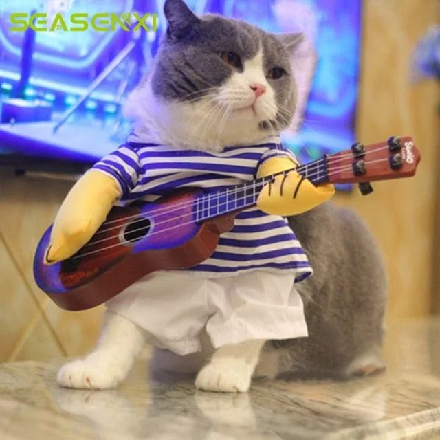 guitar suit