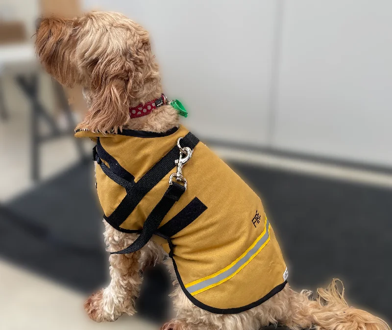 Dog Coat