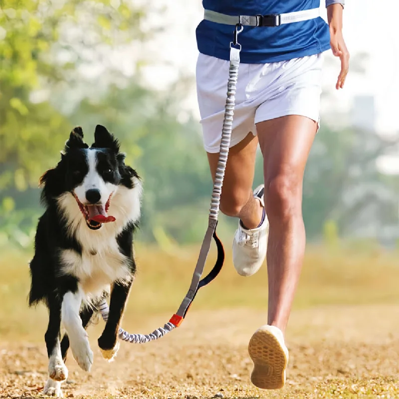 Hands-free Dog Waist Leash Waist Dog Lead