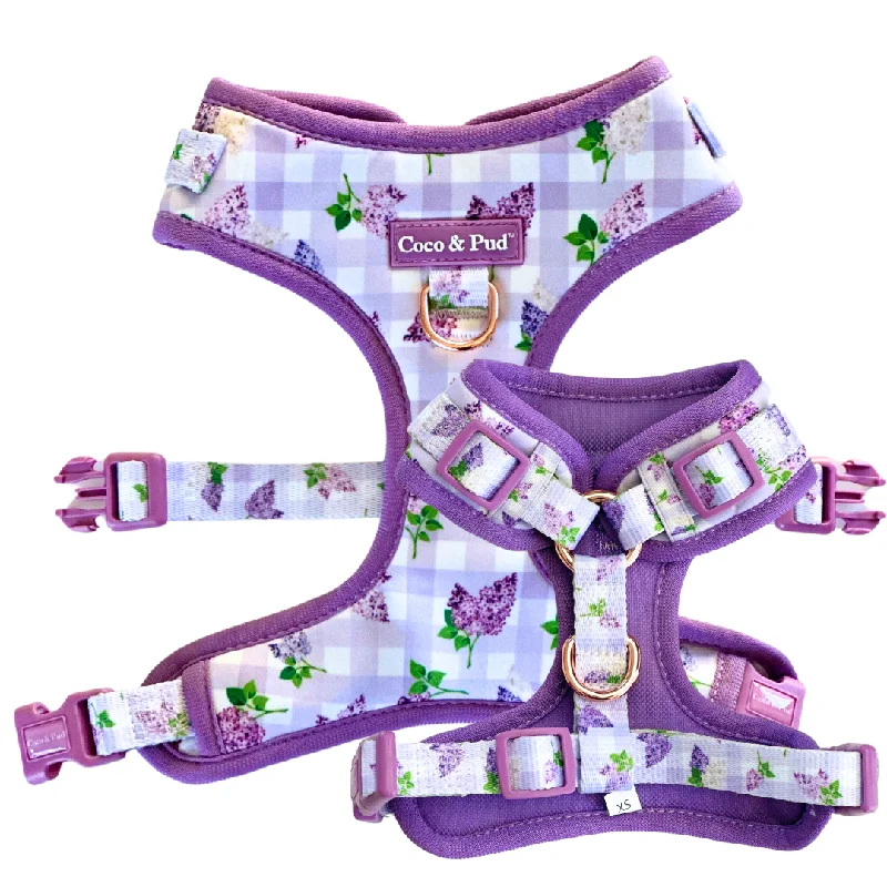 Gingham Lilac Adjustable Dog Harness