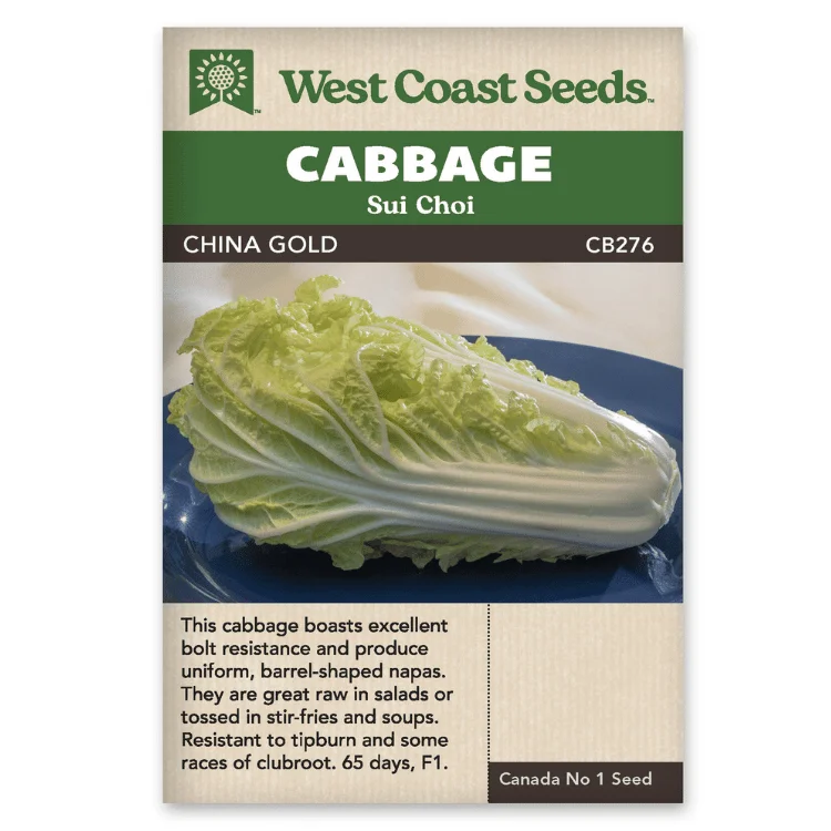 West Coast Seeds China Gold Cabbage Seeds - 100 Seeds