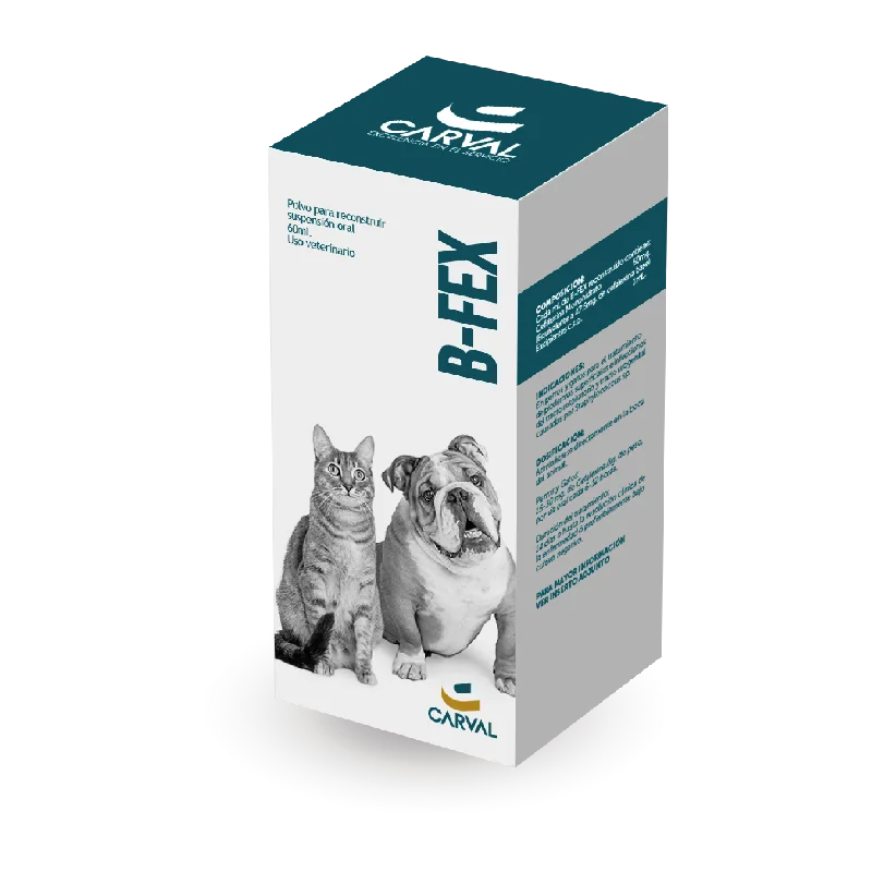 B Fex Cefalixina Suspensión x 60 Ml