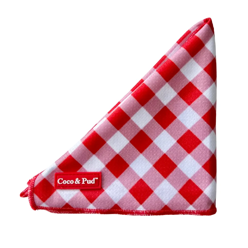 Gingham Red Cat Bandana