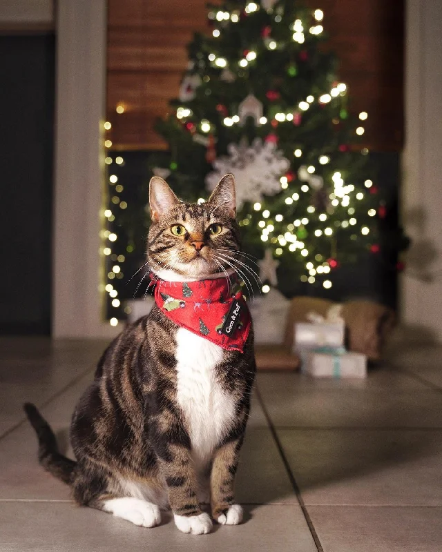 Deck the Paws Christmas Cat Bundle - SAVE 15%