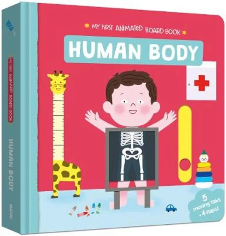 Human Body