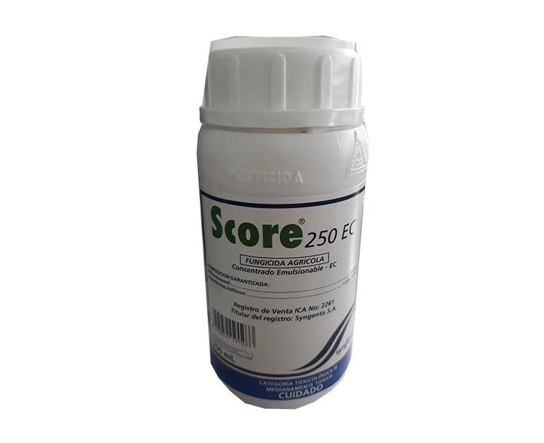 Score 250 E x 250 Cc