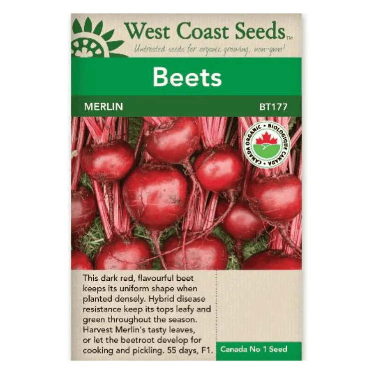 West Coast Seeds Merlin Beets Seeds - 100 Seeds