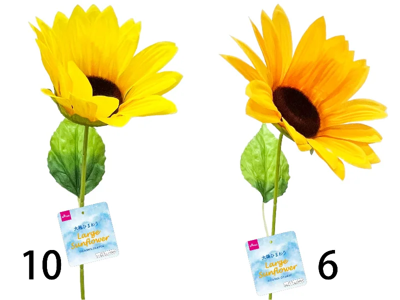 Large Sunflower