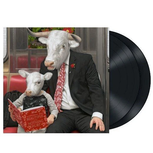 Everything Was Beautiful, And Nothing Hurt (Vinyl)