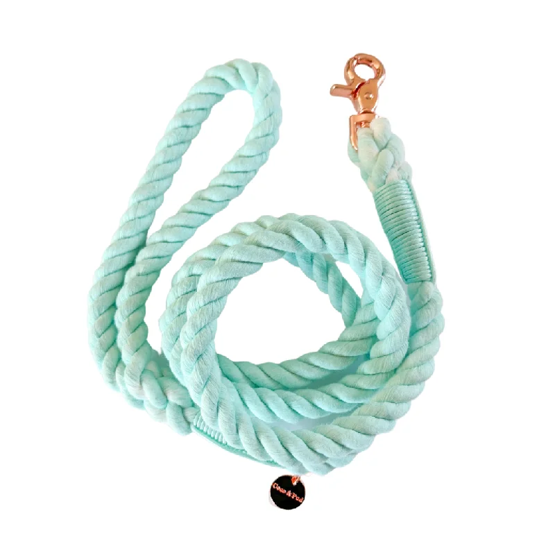 Azure Rope Lead/ Leash