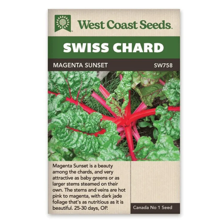 West Coast Seeds Magenta Sunset Swiss Chard Seeds - 140 Seeds