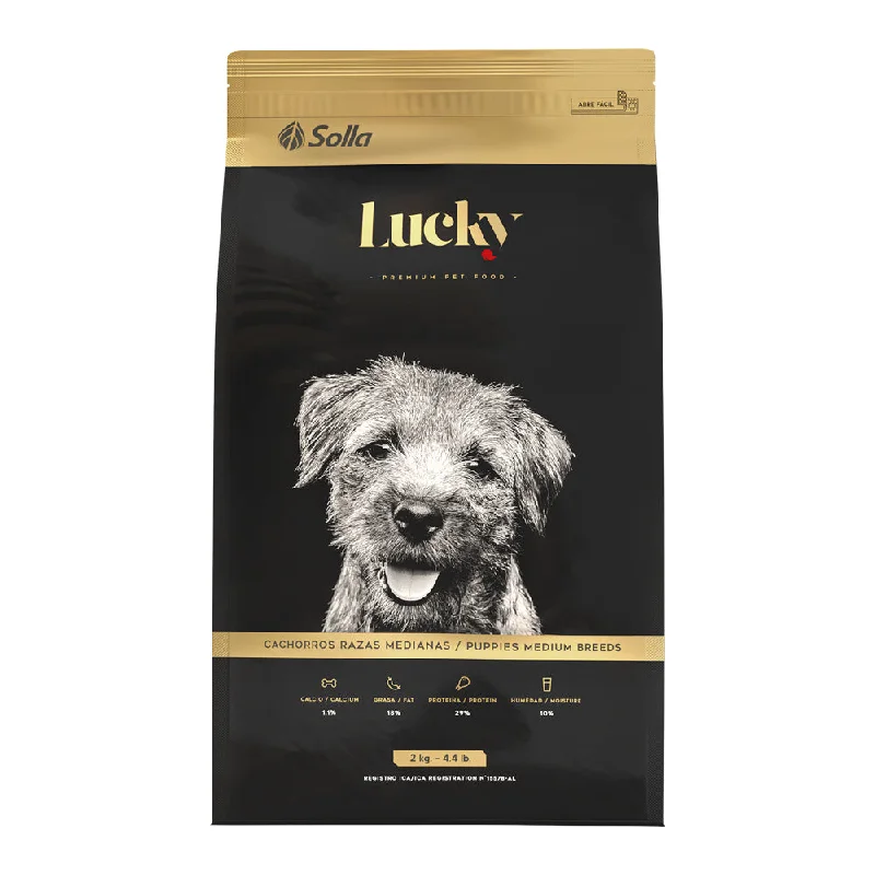 Lucky Cachorros Raza Mediana