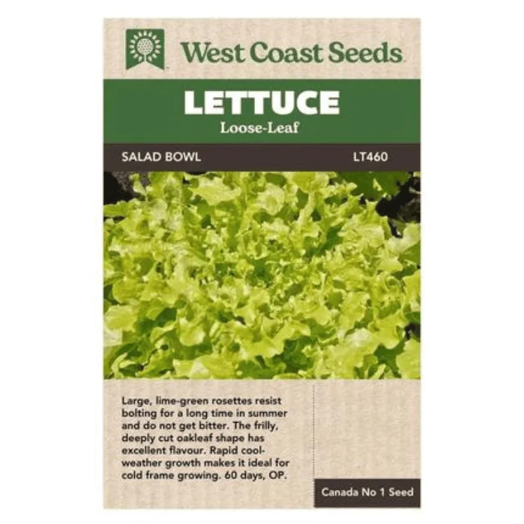 West Coast Seeds Salad Bowl Lettuce Seeds - 920 Seeds