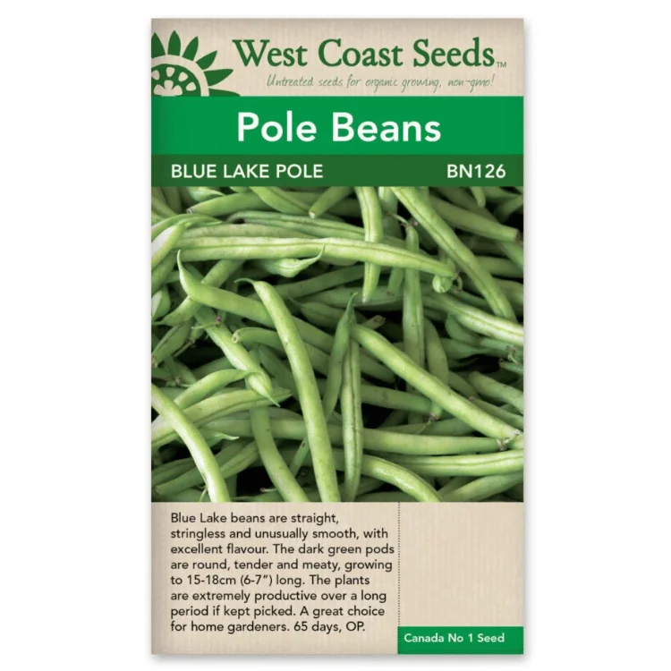 West Coast Seeds Blue Lake Pole Bean Seeds - 160 Seeds
