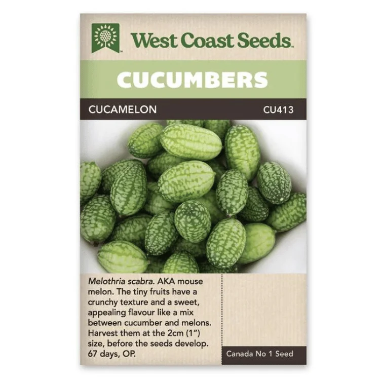 West Coast Seeds Cucamelon Cucumber Seeds - 30 Seeds