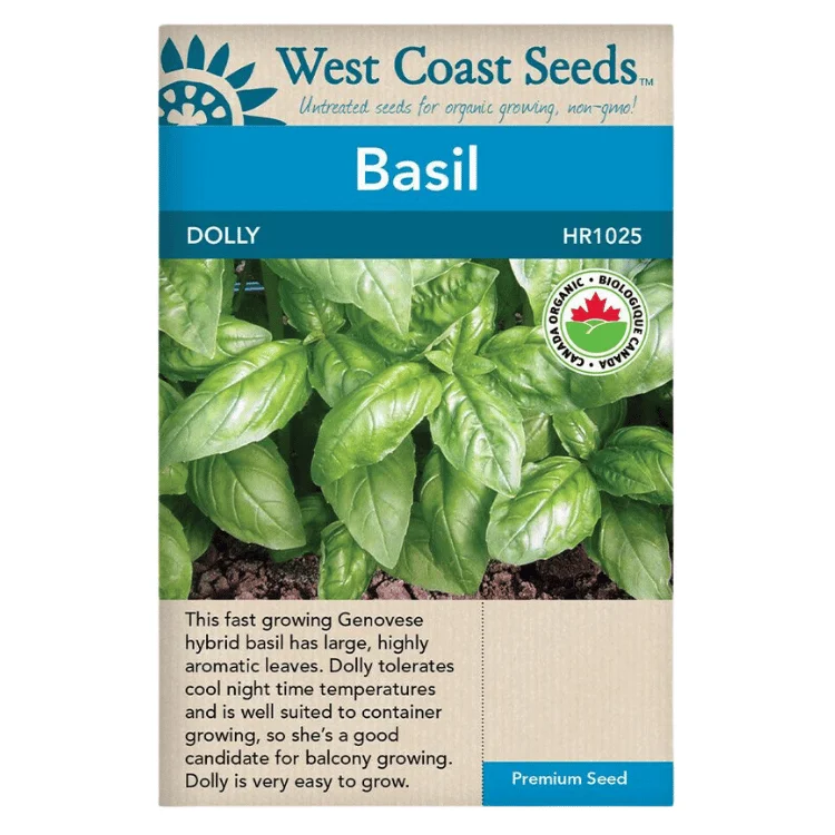 West Coast Seeds Dolly Basil Seeds - 280 Seeds